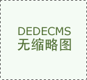 金武士 DL 31120GS